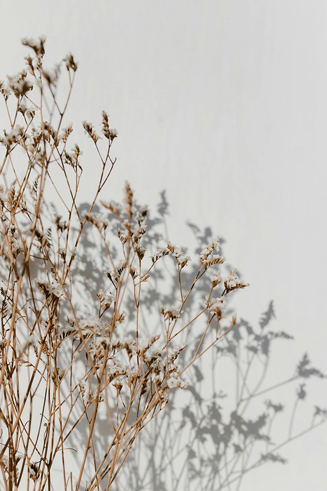 How to Incorporate Sustainable Decor and Eco-Friendly Home Goods into Your Space