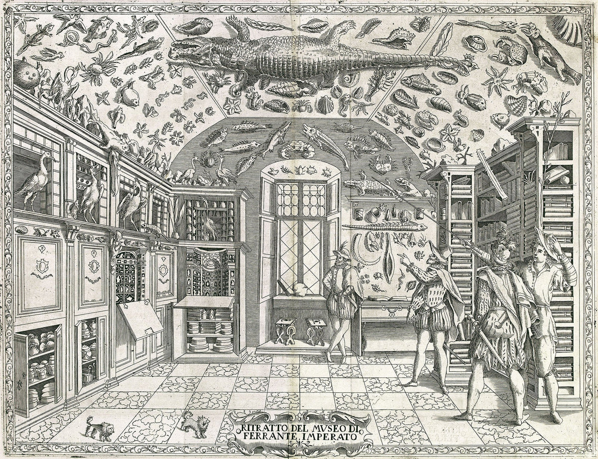 Woodcut of Ferrante Imperato’s cabinet in Naples, 1599, its ceiling covered in specimens and its walls in cabinets