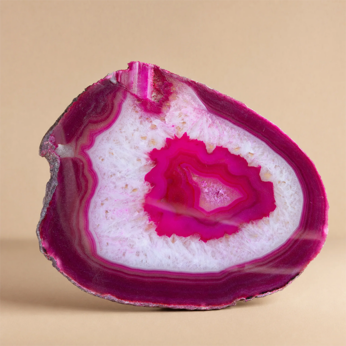 A polished slice of agate stone with concentric bands of deep magenta pink, white, and dark purple, standing upright on a smooth beige background.