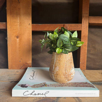 Natural onyx vessel used as a mini planter with vibrant green foliage, placed on a Chanel book in a wooden nook.