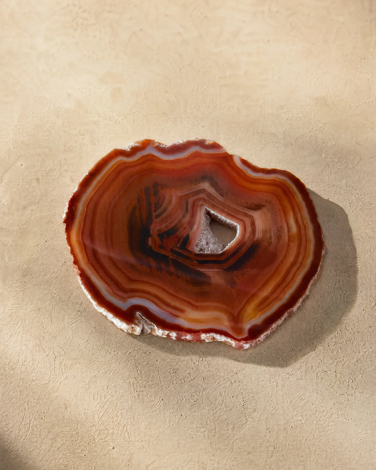 Carnelian & Cream | SAÉA Agate Slice