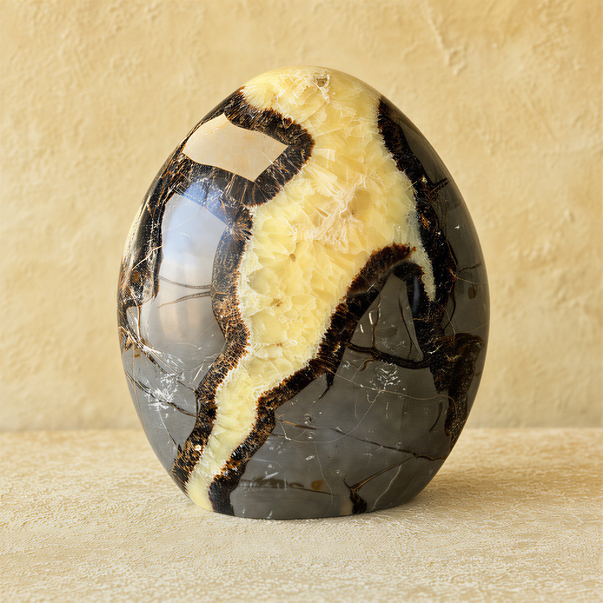Polished septarian stone egg, slate gray body crossed by a broad citron calcite seam edged in dark umber, on a cream plaster ground