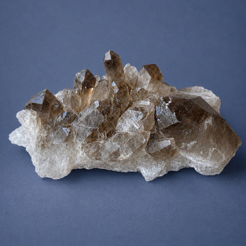 A natural smoky quartz crystal cluster with prominent brown and translucent clear facets, displayed on a smooth slate blue background.