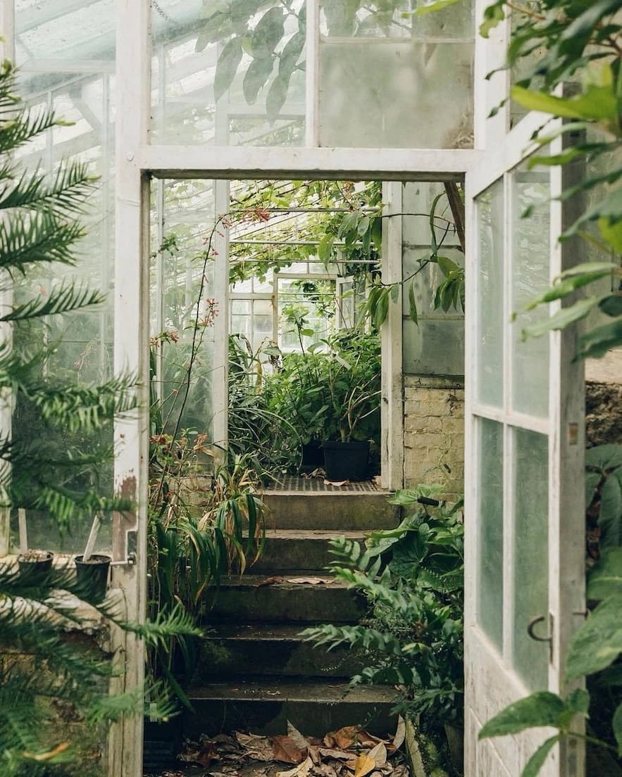 A garden seen through glass